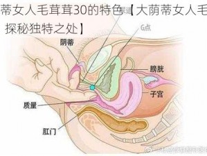 大荫蒂女人毛茸茸30的特色【大荫蒂女人毛茸茸 30：探秘独特之处】