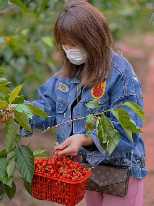 国产激情一区二区三区视频免樱桃，提供各种类型的视频，让你享受无尽的激情