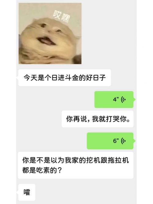 在危险的边缘疯狂试探：双男主车文