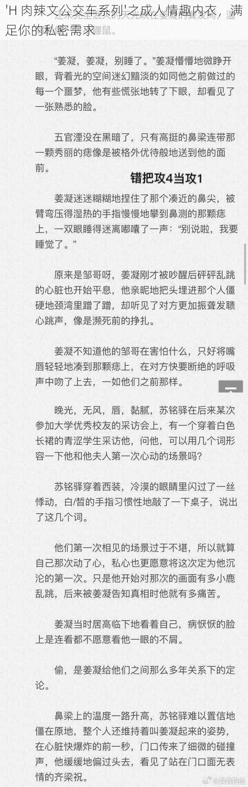 'H 肉辣文公交车系列'之成人情趣内衣，满足你的私密需求