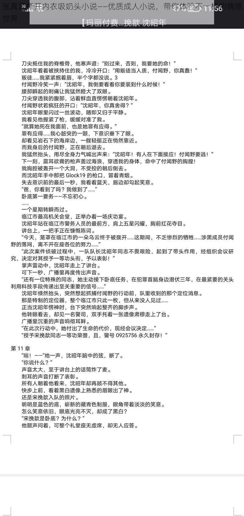 张真源撕开内衣吸奶头小说——优质成人小说，带你体验不一样的情感世界