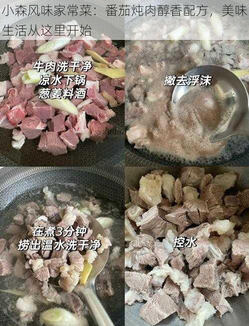 小森风味家常菜：番茄炖肉醇香配方，美味生活从这里开始