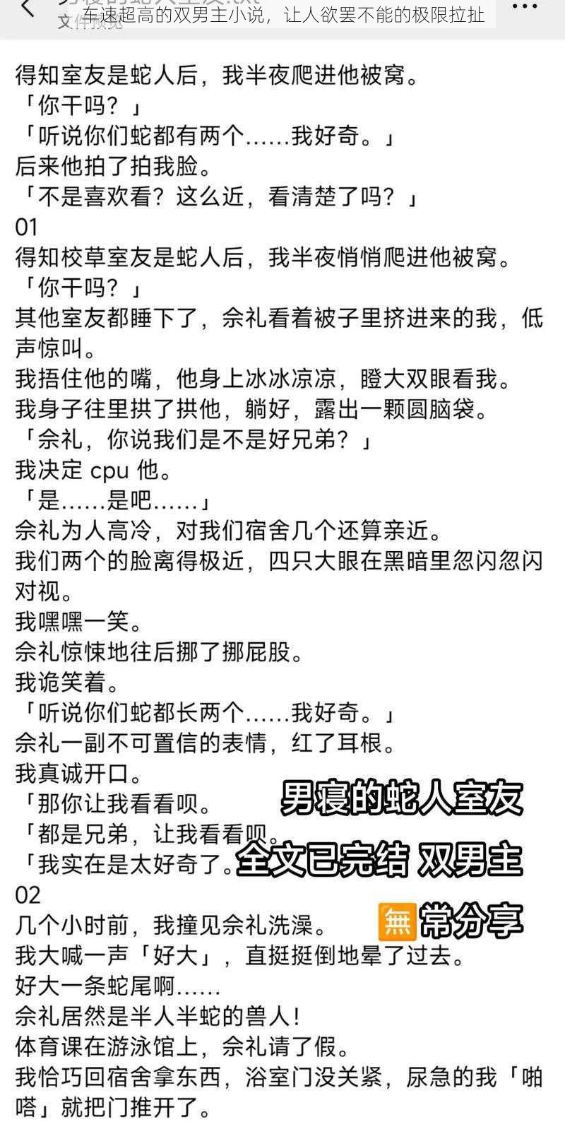 车速超高的双男主小说，让人欲罢不能的极限拉扯