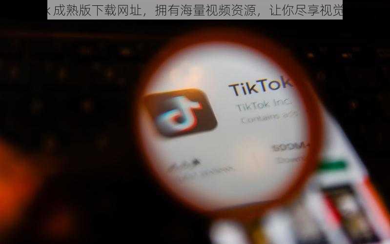 tiktok 成熟版下载网址，拥有海量视频资源，让你尽享视觉盛宴