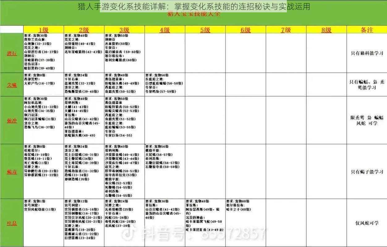 猎人手游变化系技能详解：掌握变化系技能的连招秘诀与实战运用