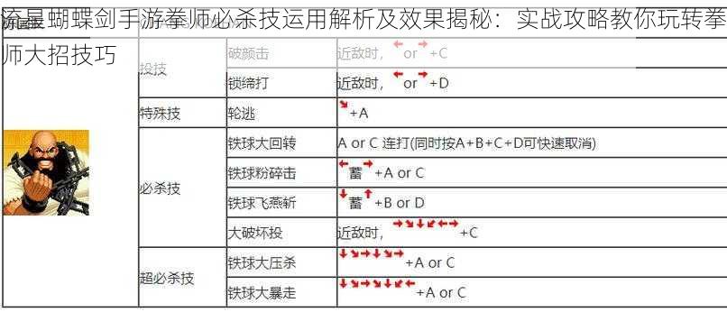 流星蝴蝶剑手游拳师必杀技运用解析及效果揭秘：实战攻略教你玩转拳师大招技巧