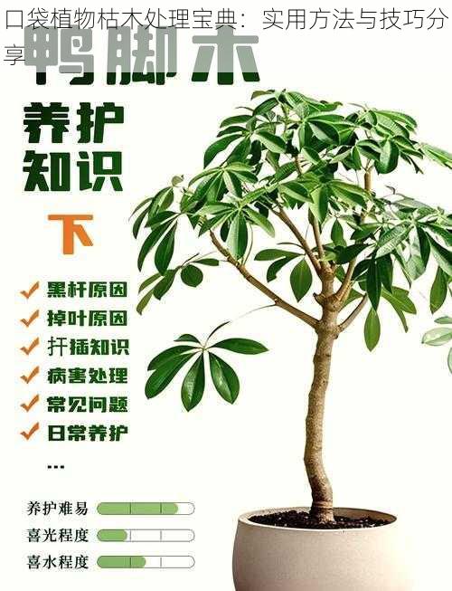 口袋植物枯木处理宝典：实用方法与技巧分享