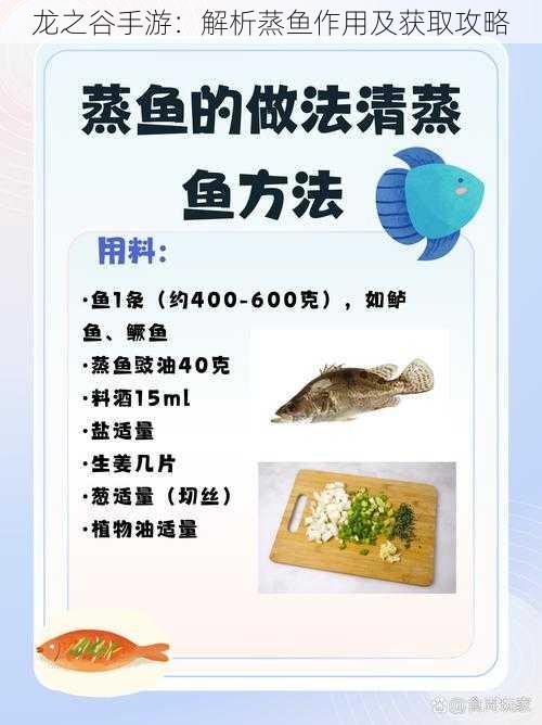 龙之谷手游：解析蒸鱼作用及获取攻略