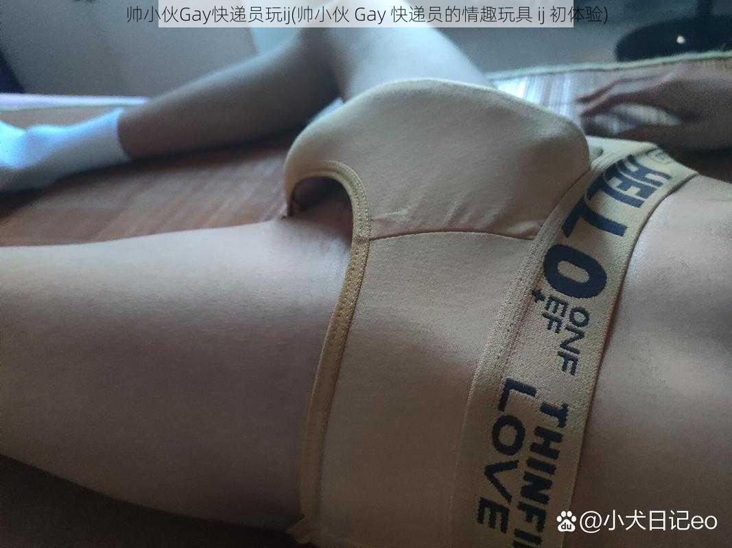 帅小伙Gay快递员玩ij(帅小伙 Gay 快递员的情趣玩具 ij 初体验)