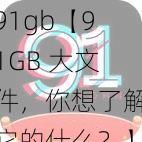 91gb【91GB 大文件，你想了解它的什么？】