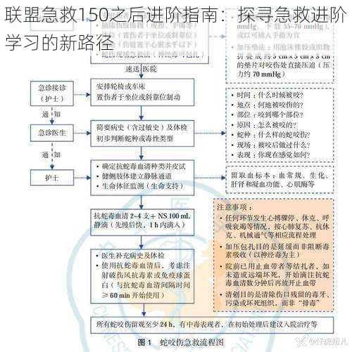 联盟急救150之后进阶指南：探寻急救进阶学习的新路径