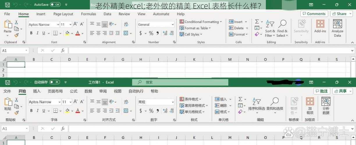 老外精美excel;老外做的精美 Excel 表格长什么样？