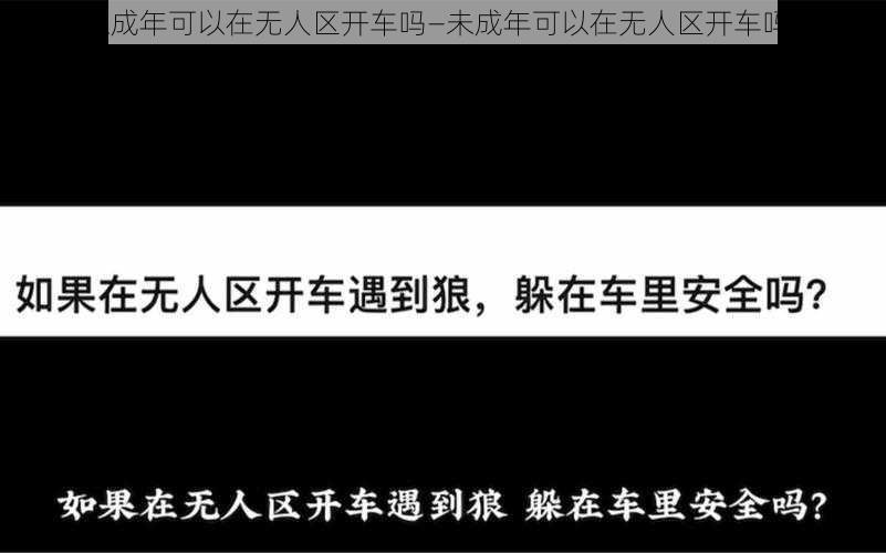 未成年可以在无人区开车吗—未成年可以在无人区开车吗？