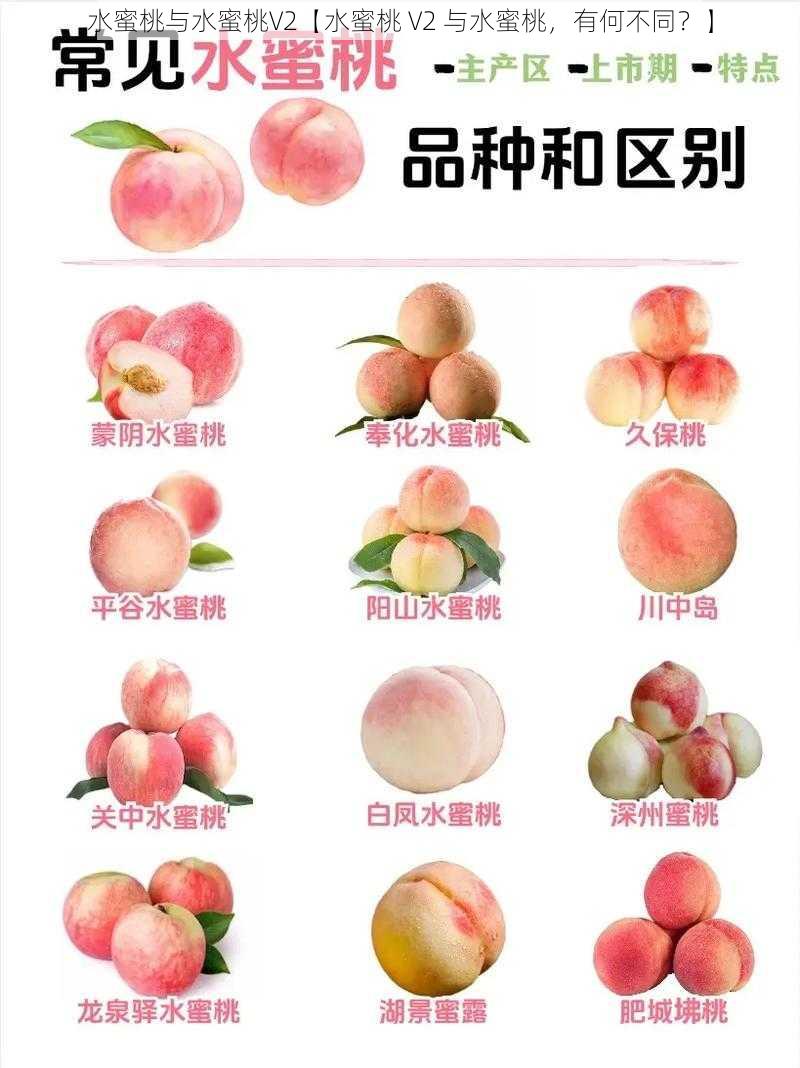 水蜜桃与水蜜桃V2【水蜜桃 V2 与水蜜桃，有何不同？】