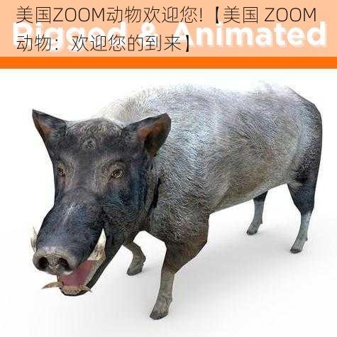 美国ZOOM动物欢迎您!【美国 ZOOM 动物：欢迎您的到来】