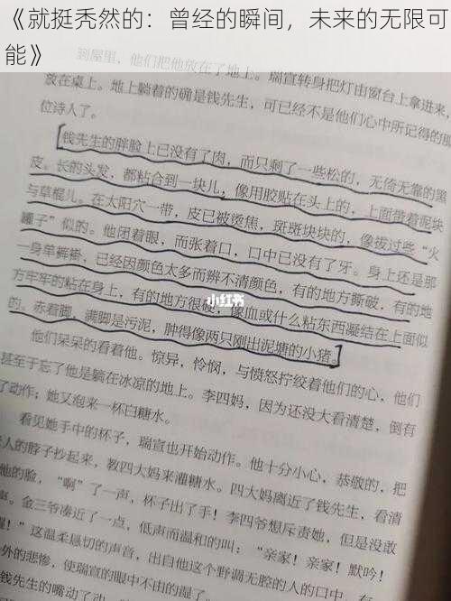 《就挺秃然的：曾经的瞬间，未来的无限可能》