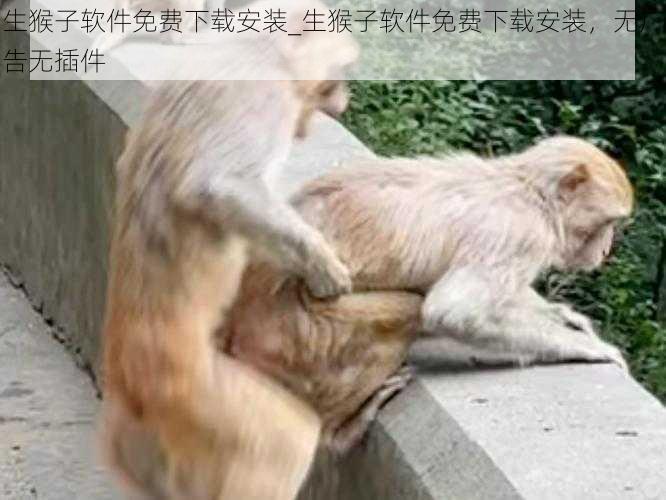 生猴子软件免费下载安装_生猴子软件免费下载安装，无广告无插件