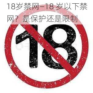 18岁禁网—18 岁以下禁网？是保护还是限制