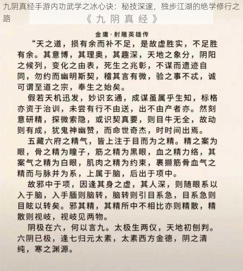 九阴真经手游内功武学之冰心诀：秘技深邃，独步江湖的绝学修行之路