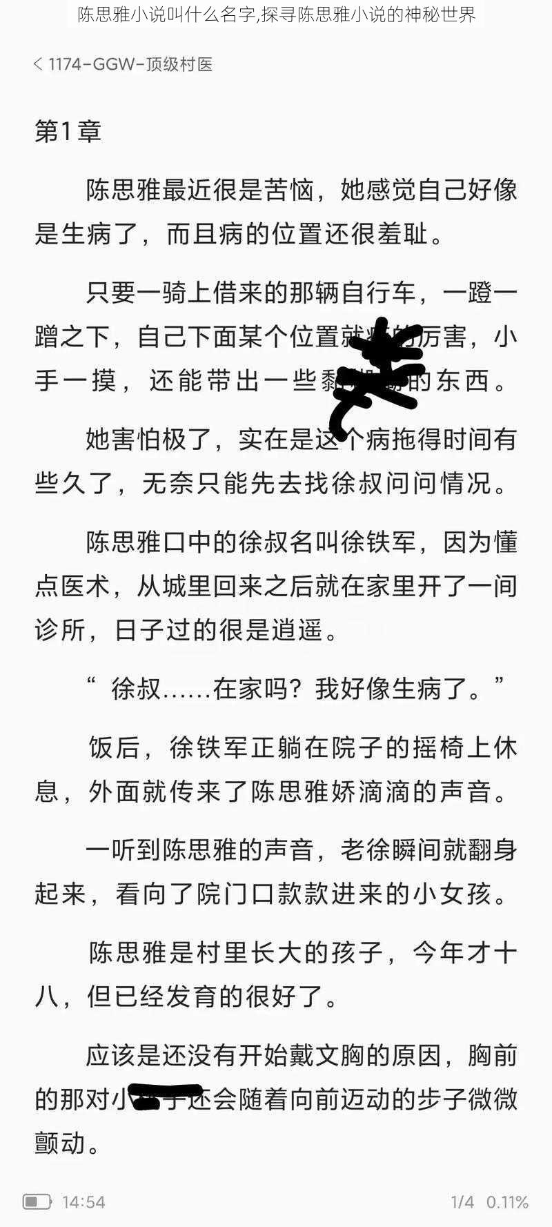 陈思雅小说叫什么名字,探寻陈思雅小说的神秘世界