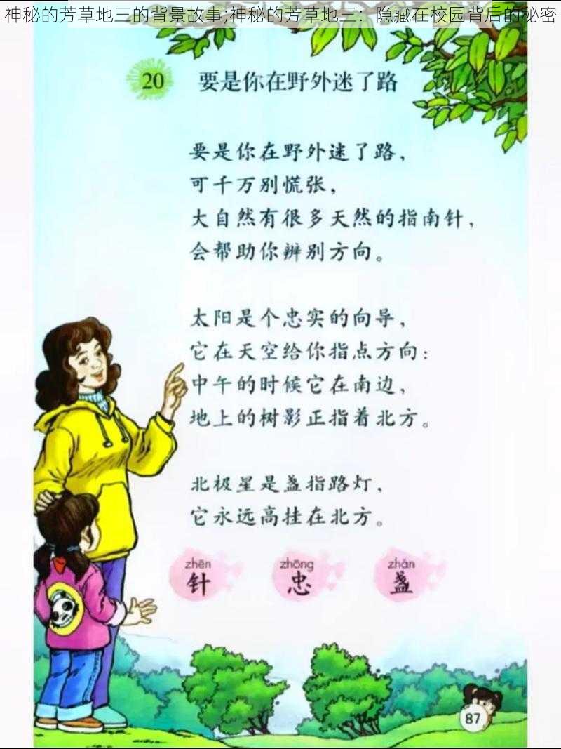 神秘的芳草地三的背景故事;神秘的芳草地三：隐藏在校园背后的秘密