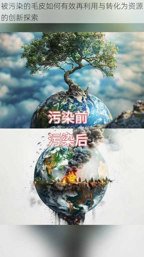 被污染的毛皮如何有效再利用与转化为资源的创新探索