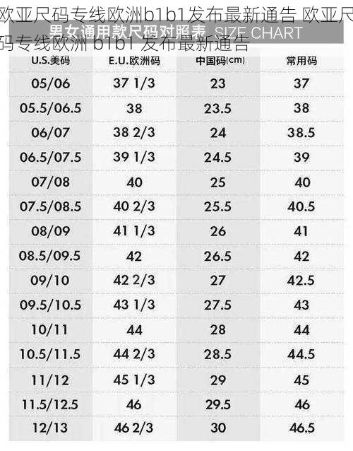 欧亚尺码专线欧洲b1b1发布最新通告 欧亚尺码专线欧洲 b1b1 发布最新通告