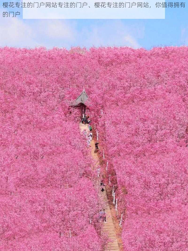 樱花专注的门户网站专注的门户、樱花专注的门户网站，你值得拥有的门户