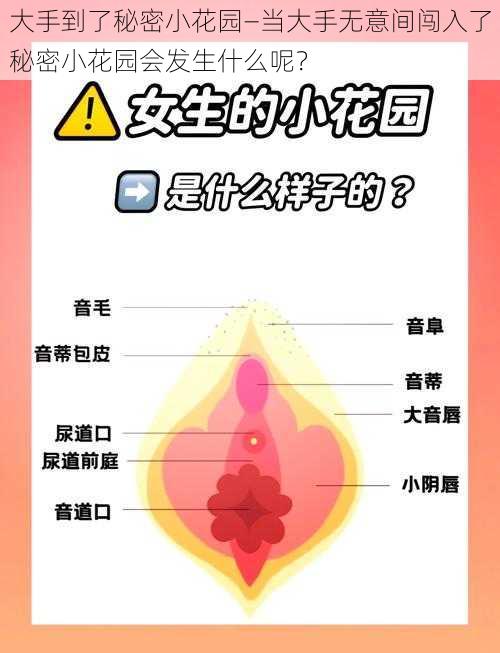 大手到了秘密小花园—当大手无意间闯入了秘密小花园会发生什么呢？