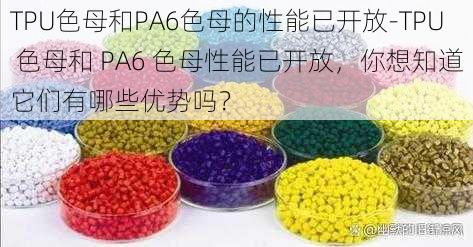 TPU色母和PA6色母的性能已开放-TPU 色母和 PA6 色母性能已开放，你想知道它们有哪些优势吗？