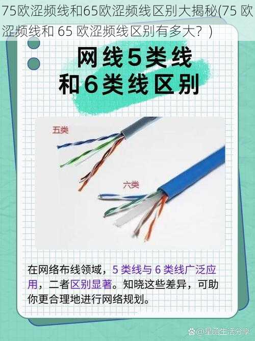 75欧涩频线和65欧涩频线区别大揭秘(75 欧涩频线和 65 欧涩频线区别有多大？)