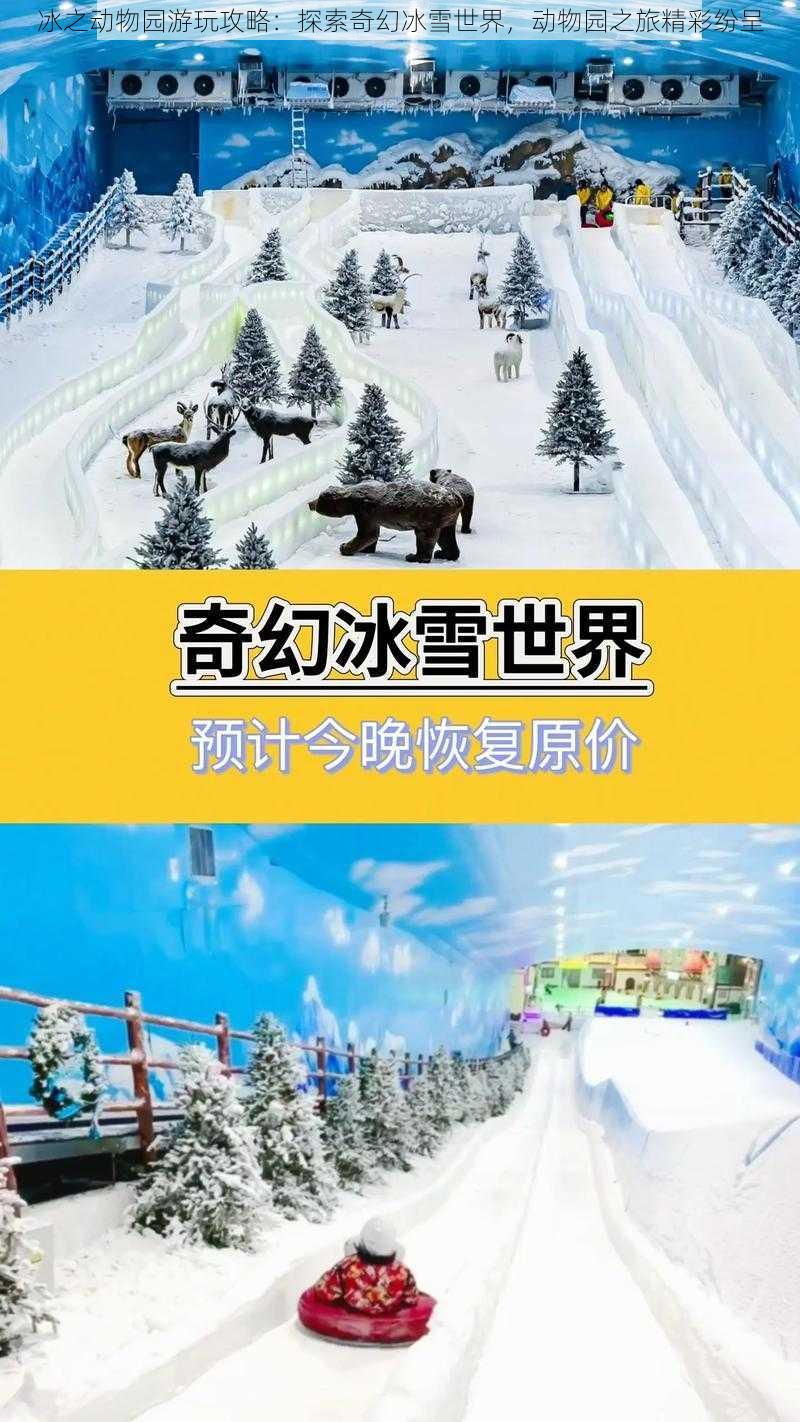 冰之动物园游玩攻略：探索奇幻冰雪世界，动物园之旅精彩纷呈