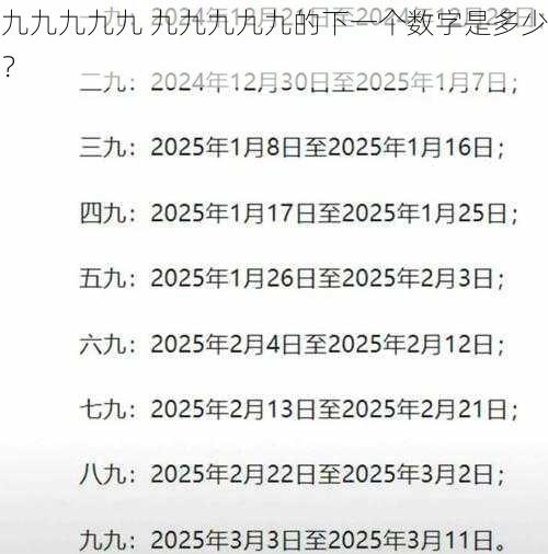 九九九九九 九九九九九的下一个数字是多少？