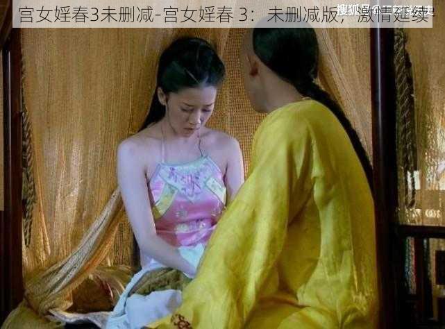 宫女婬春3未删减-宫女婬春 3：未删减版，激情延续