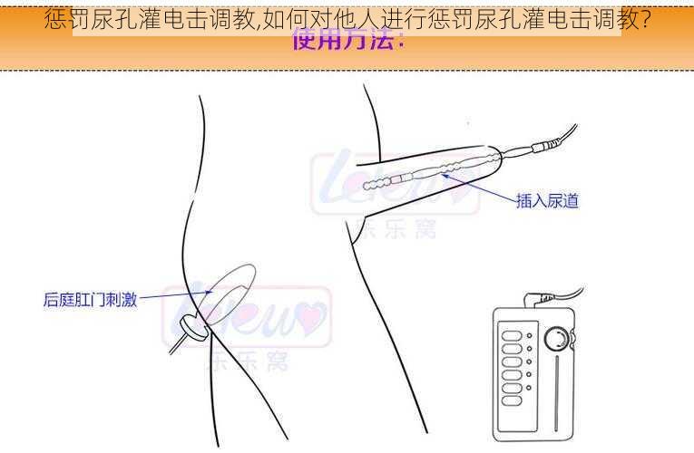 惩罚尿孔灌电击调教,如何对他人进行惩罚尿孔灌电击调教？