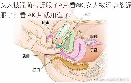 女人被添荫蒂舒服了A片看AK;女人被添荫蒂舒服了？看 AK 片就知道了