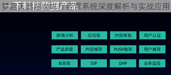 梦启天鹅座咖啡厅经营系统深度解析与实战应用