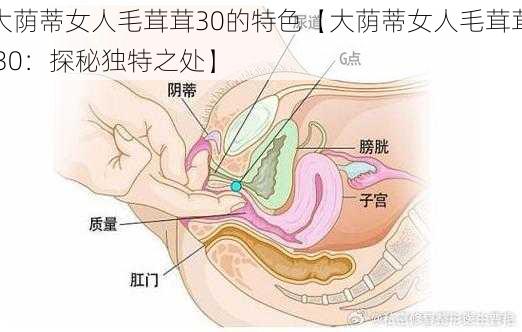 大荫蒂女人毛茸茸30的特色【大荫蒂女人毛茸茸 30：探秘独特之处】