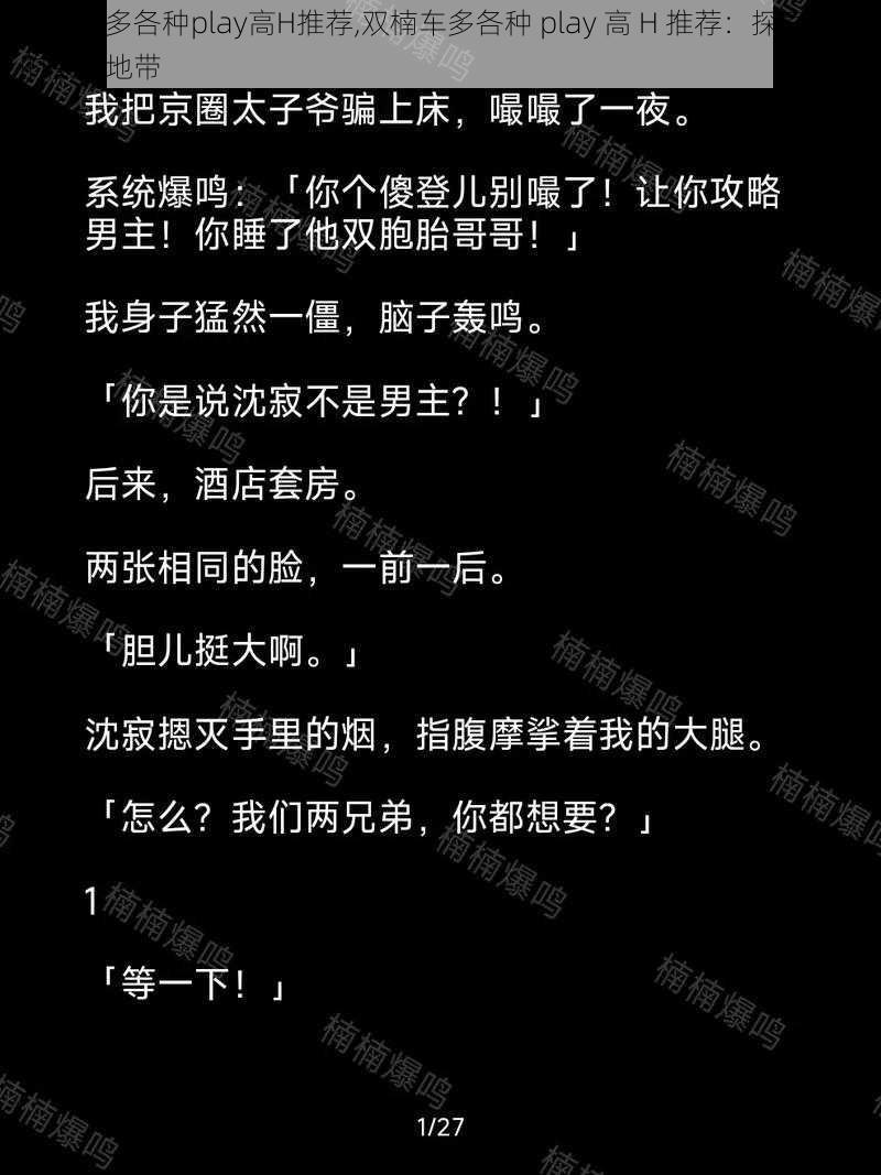 双楠车多各种play高H推荐,双楠车多各种 play 高 H 推荐：探索未知的激情地带