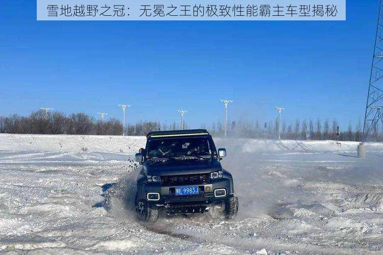 雪地越野之冠：无冕之王的极致性能霸主车型揭秘