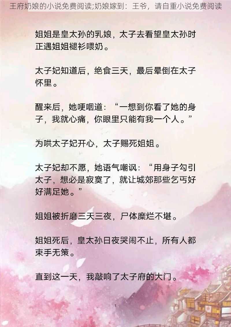 王府奶娘的小说免费阅读;奶娘嫁到：王爷，请自重小说免费阅读