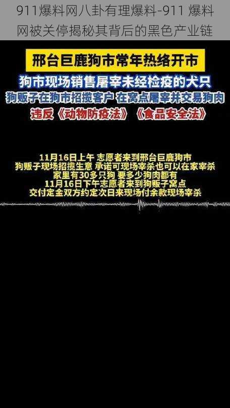 911爆料网八卦有理爆料-911 爆料网被关停揭秘其背后的黑色产业链