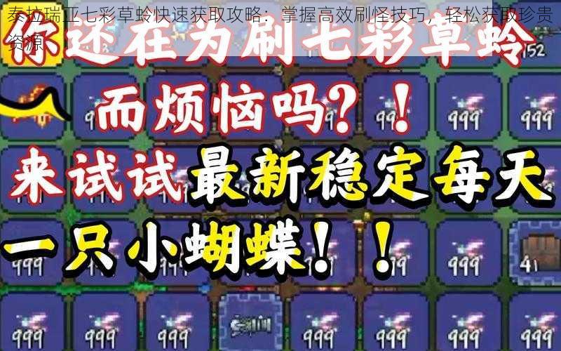 泰拉瑞亚七彩草蛉快速获取攻略：掌握高效刷怪技巧，轻松获取珍贵资源