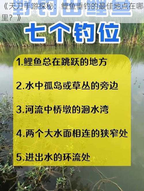 《天刀手游探秘：鲤鱼垂钓的最佳地点在哪里？》