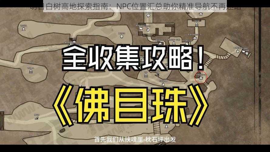 明日白树高地探索指南：NPC位置汇总助你精准导航不再迷路