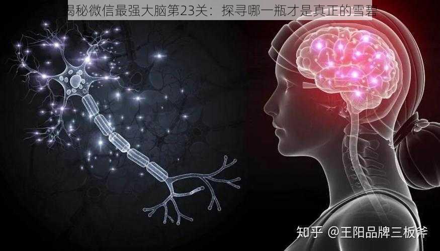 揭秘微信最强大脑第23关：探寻哪一瓶才是真正的雪碧