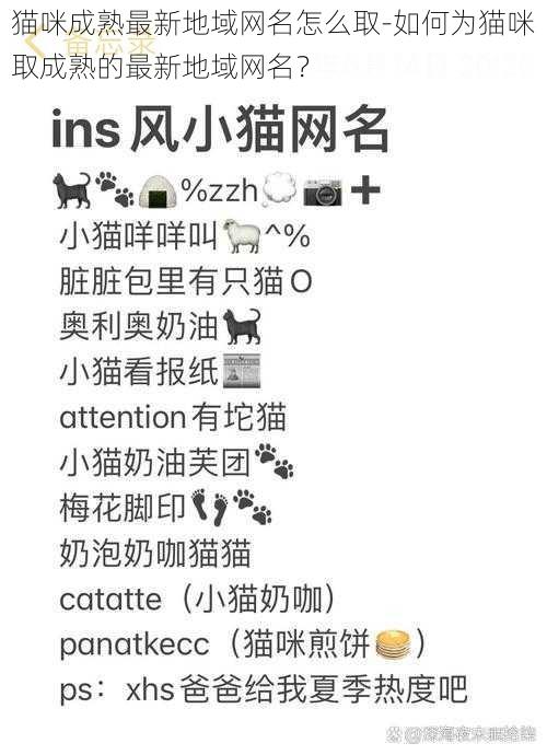 猫咪成熟最新地域网名怎么取-如何为猫咪取成熟的最新地域网名？