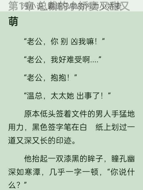 污小说_霸道总裁的污力小娇妻