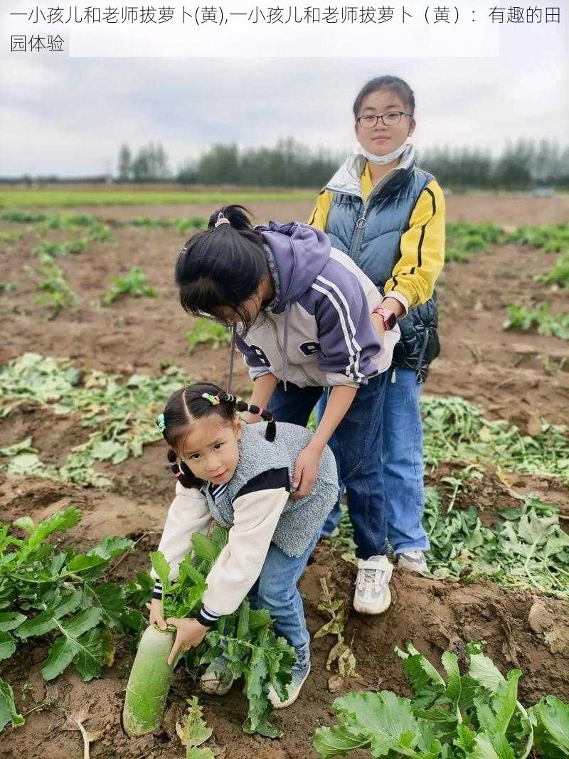 一小孩儿和老师拔萝卜(黄),一小孩儿和老师拔萝卜（黄）：有趣的田园体验