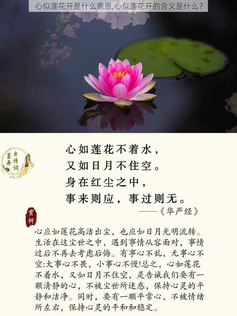 心似莲花开是什么意思,心似莲花开的含义是什么？